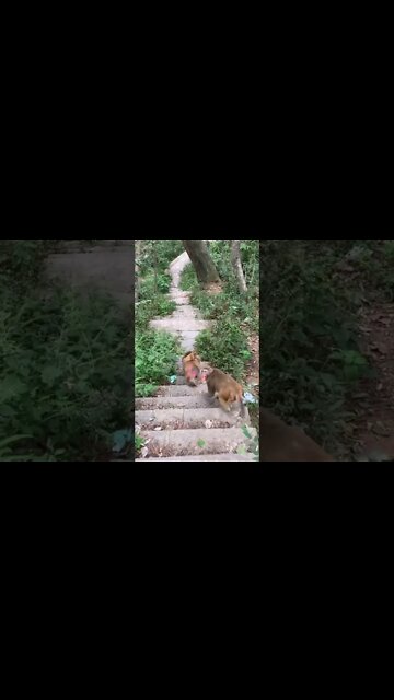 Most Amazing and trending video||relaxing your mind||trendig videos|| #shorts #trending #viral #live