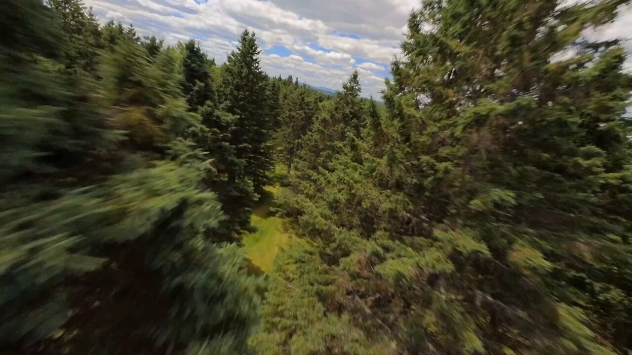 Freeride / Freestyle short video at my chalet in St-Martin, Québec (summer 2022)