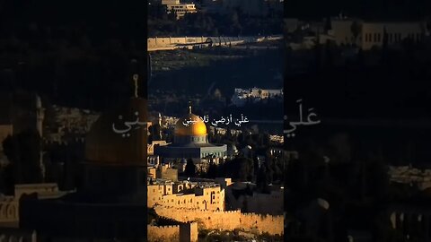 Palestine🇵🇸 | Pray for Palestine ⭐🇵🇸⭐ #freepalestine #ytshorts #youtubeshorts