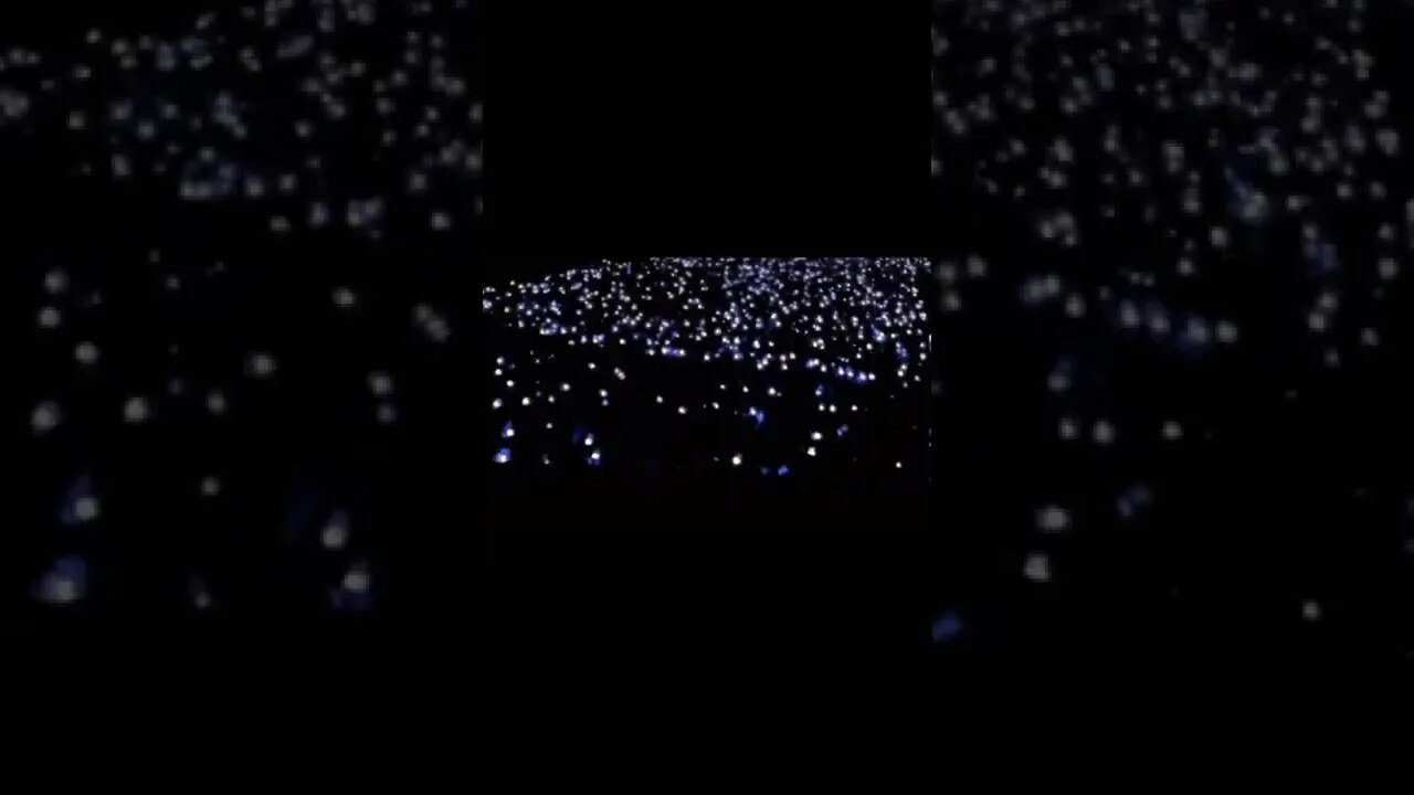 The best part of BTS Busan concert 🤩✨✨💜💜#btsbusanconcert2022 #busanconcert2022