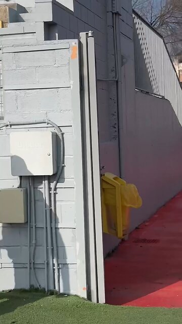 Griezman and rodride having funny at practice (short video)