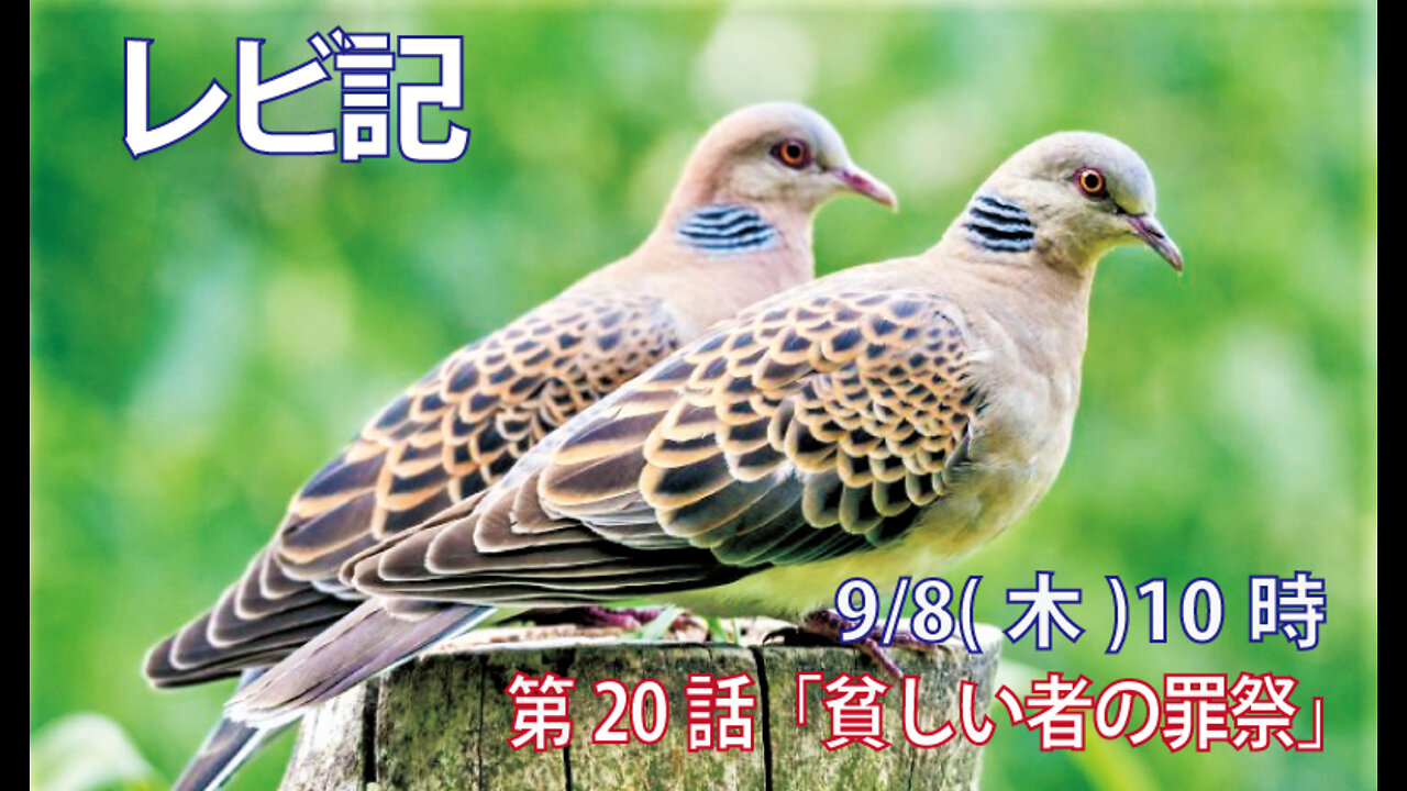 「貧しい者の罪祭」(レビ5.7-10)みことば福音教会2022.9.8(木)