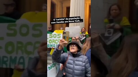 O amor do povo brasileiro nos EUA pelo STF