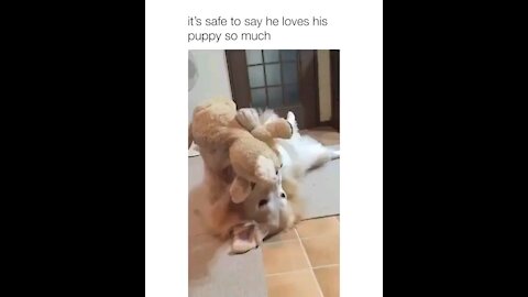 It's safe to say he loves his puppy