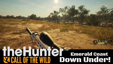 TheHunter CALL OF THE WILD | Australian Emerald Coast First Hunt