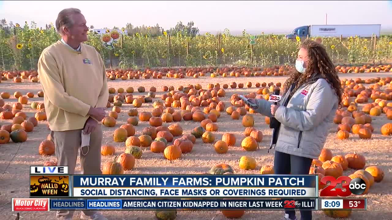 October 31st is the last day to enjoy the fall festivities at the Murray Family Farms