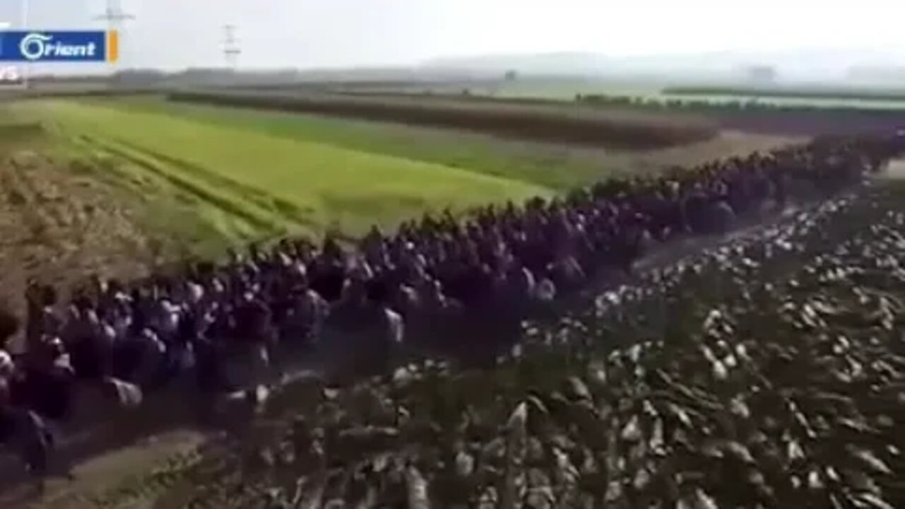 Illegal migrants at the borders of Turkey, heading to Germany Goodbye, White Europe.