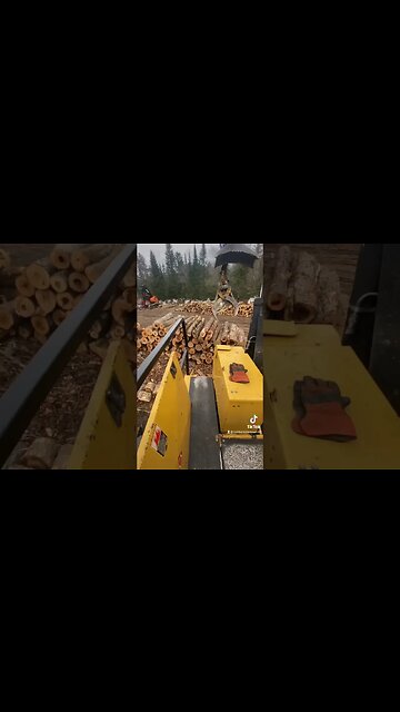 She’s back swinging #chainsaw #610 #tigercat #234B