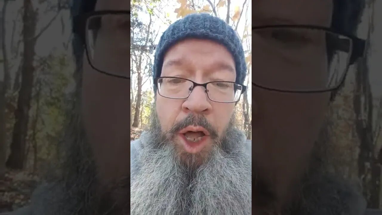 stever in the woods- tips for winter.