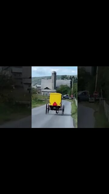 Yellow Amish Buggy