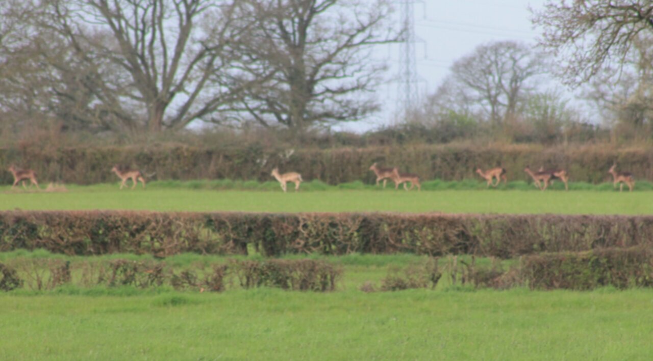 Easter in The Countryside