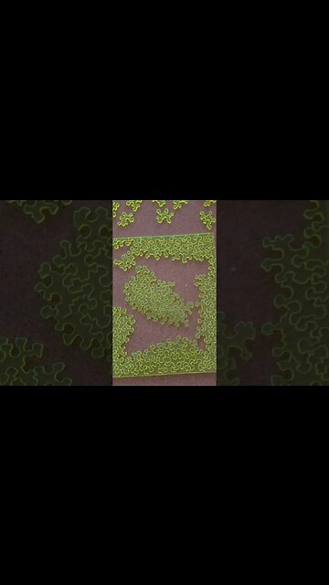 Impossible Poison Progress! #puzzle #impossible #poison #puzzletime #puzzles