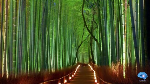 eYe KWU - Bamboo Wind Chimes (Sleeping Music, Relaxing Music, Meditation Music, Calming Music)