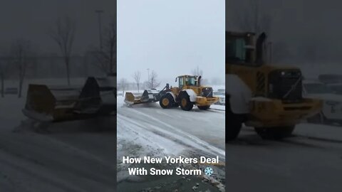 How New Yorkers Deal With Snow Storms