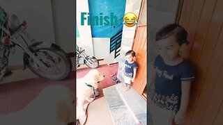 Finish #goldenretriever #ytshorts #shorts #viral #cute #trending