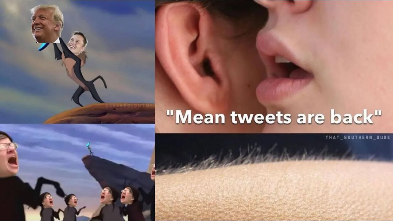 People React To Trump Reinstated On Twitter