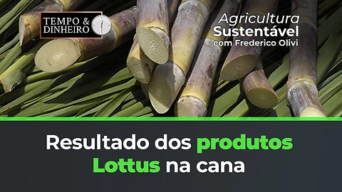 Visita para ver os resultados dos produtos da Lottus na cana.