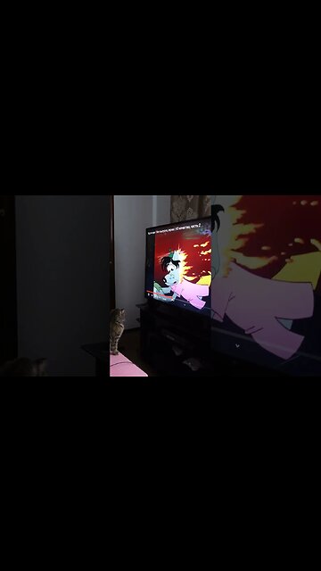 Маленькая кошка смотрит мультик. Ну, погоди!