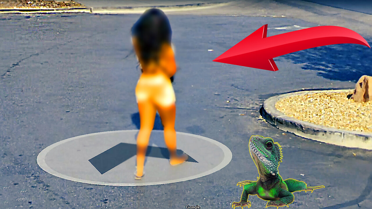 I Used Google MAPS To Find Lizards CAN YOU BELEIVE WHAT I FOUND