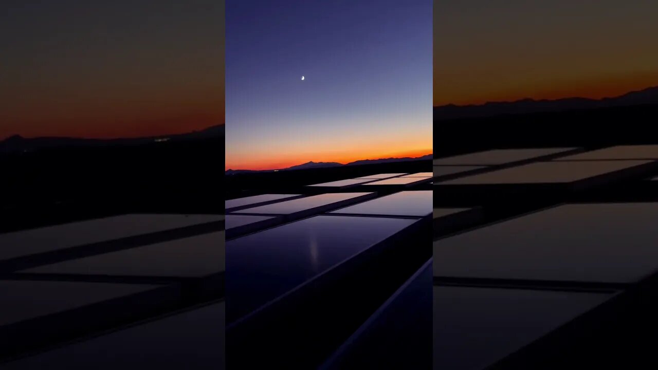 #cat named duck on the #solar panels at night