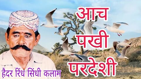 आच पखी परदेशी शीने सा लगाया हैदर रिंध सिंधी कलाम - Hedhar rindh shindhi song 46