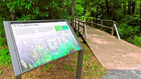 Moores Creek National Battlefield Boardwalk - Full - POV