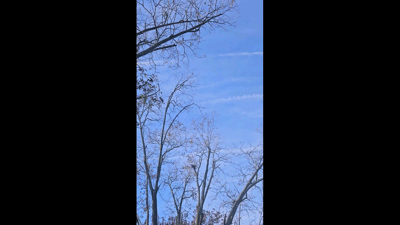 chem trails before thanksgiving part 2.