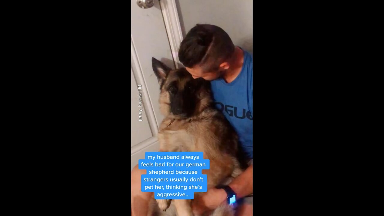 Why German Shepherds make the best pet