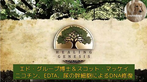 （16分）Covid毒チン傷害からの回復😊、ニコチン、EDTA、尿の幹細胞によるDNA修復