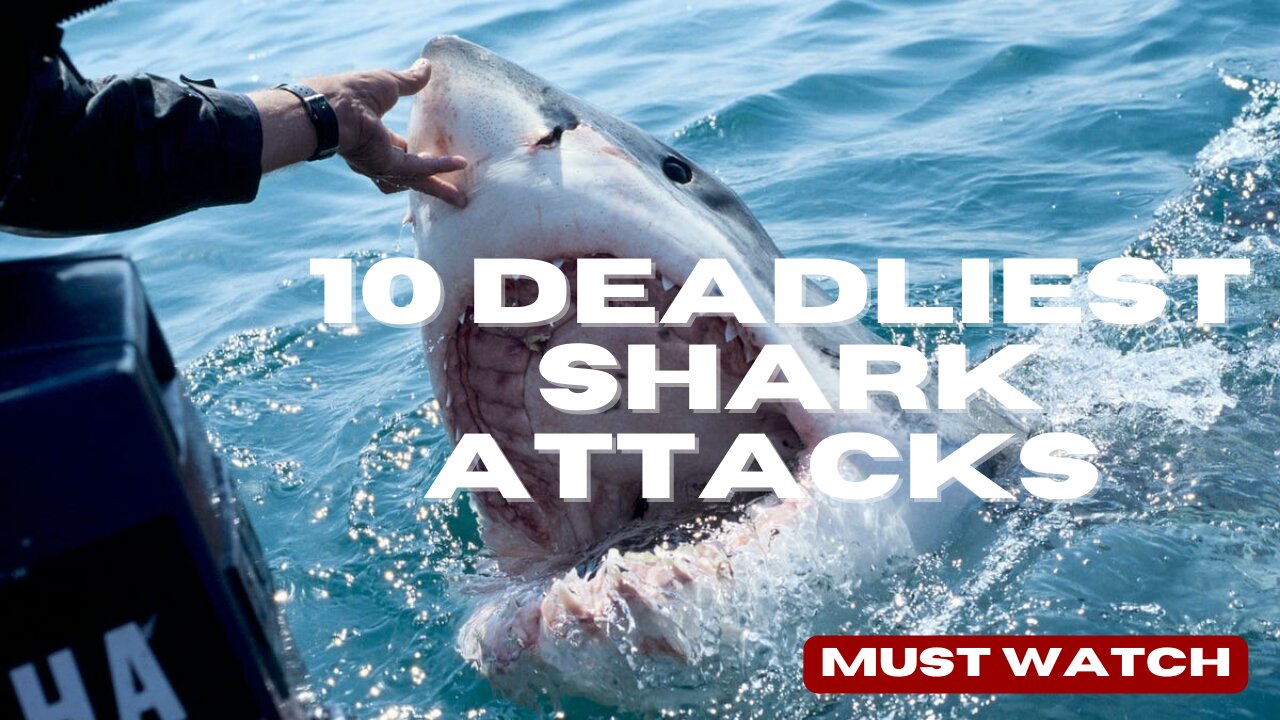 The 10 Most Horrific Shark Attacks That Ever Happened