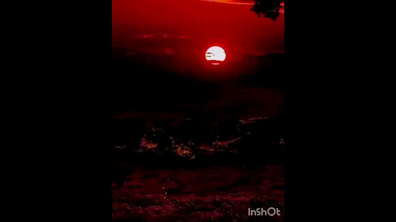 Islamic videos #islamicstatus