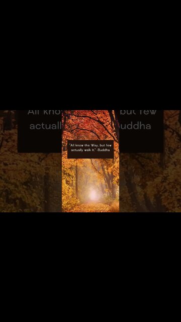 Binaural Beats DELTA- For REM Sleep, Meditation, Anxiety Relief, and Relaxation