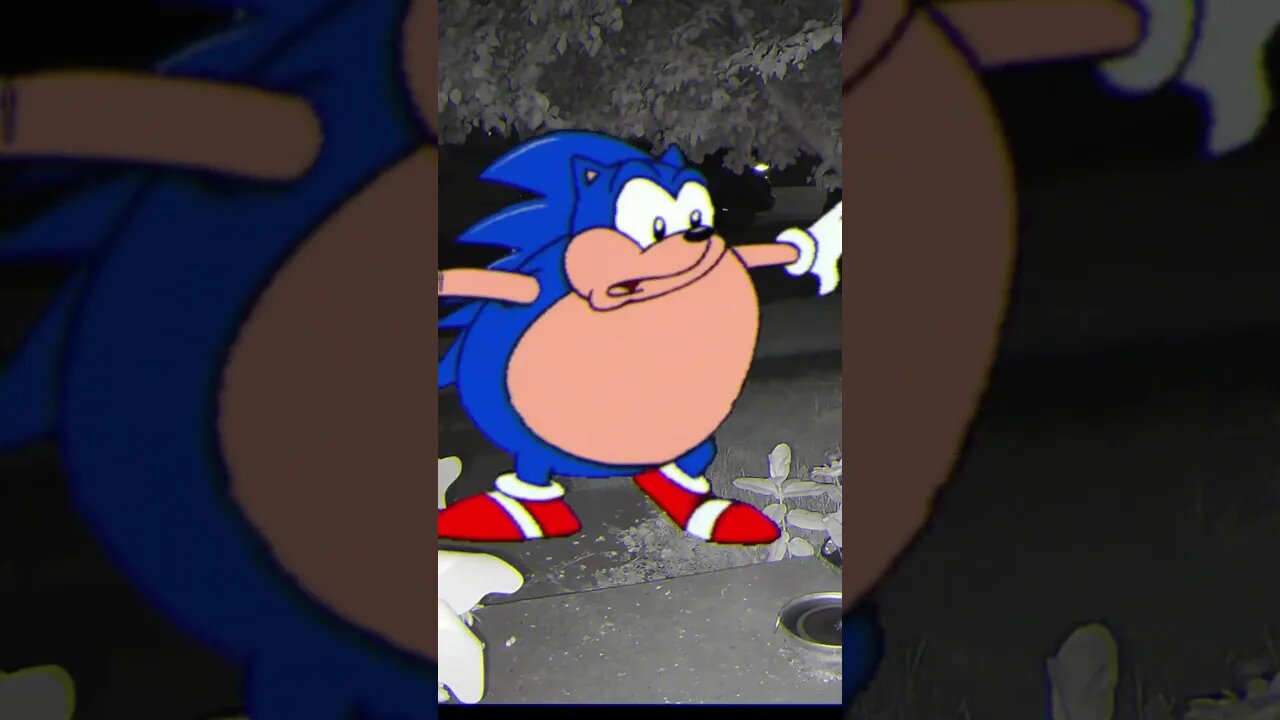 Fat Sonic Returns! #Fat #SonicTheHedgehog #Returns ðŸŒ