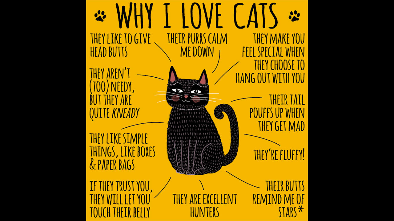 Why I Love Cats [GMG Originals]