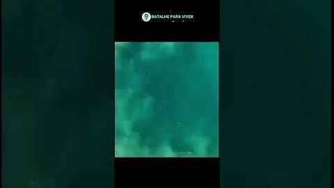 Compialção de meus videos - Compilation my videos