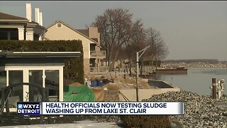 Health officials now testing sludge washing up from Lake St. Clair