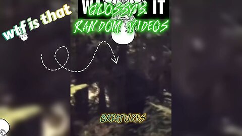 (Glossy's Random Videos)Creatures/BigFoot