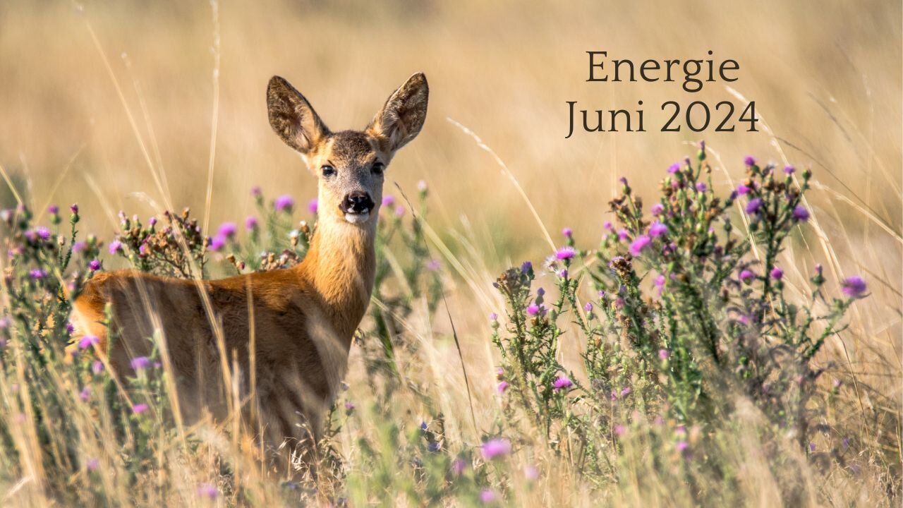 Energie Juni 2024 💜 Keuzes van het hart - Onverwachtse wendingen ☀️