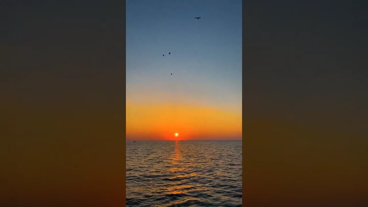 Beautifully sun set view #viral short