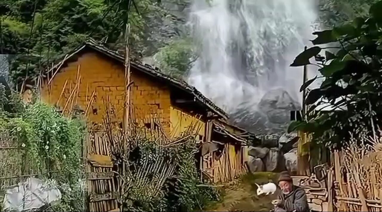 Amazing video