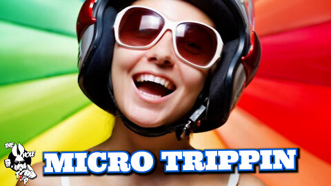 MICRO TRIPPIN - the Whole Tip Daily