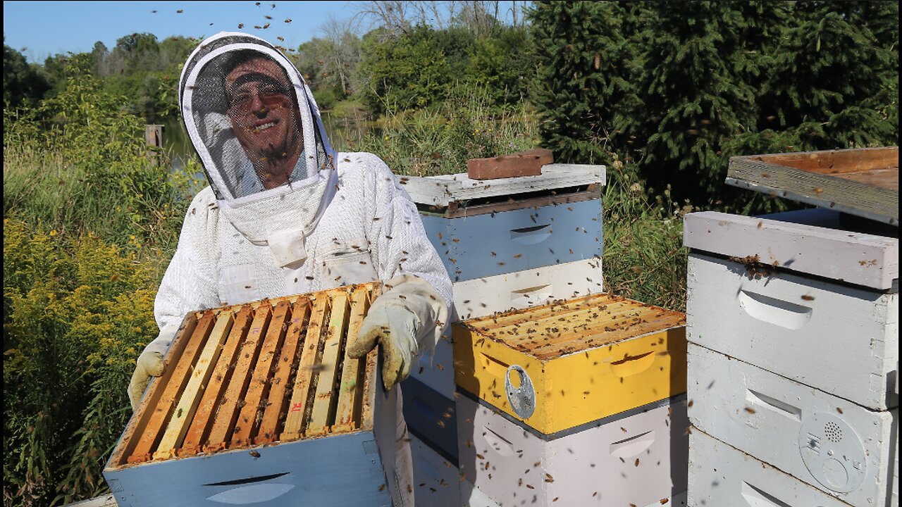 River Hills beekeeper has one of largest honey hives in the state even though he's allergic