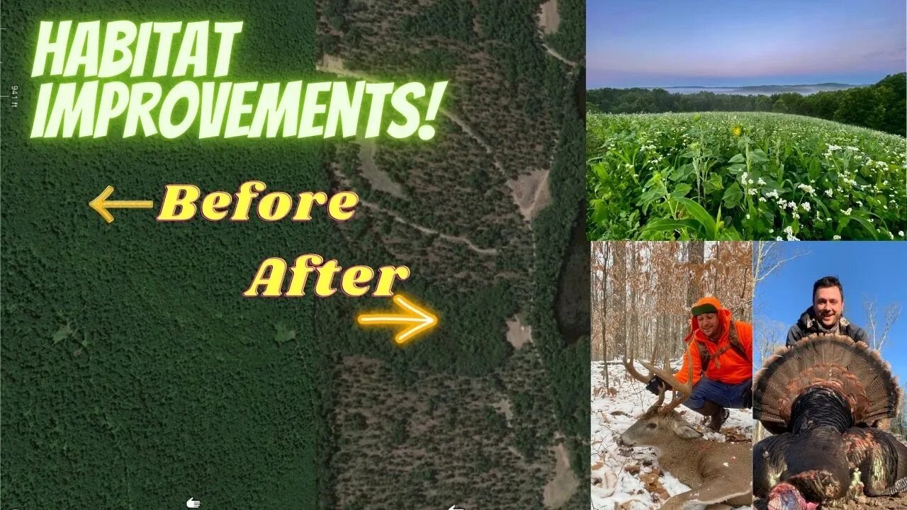 Steps to Create a Highly Productive Hunting Property