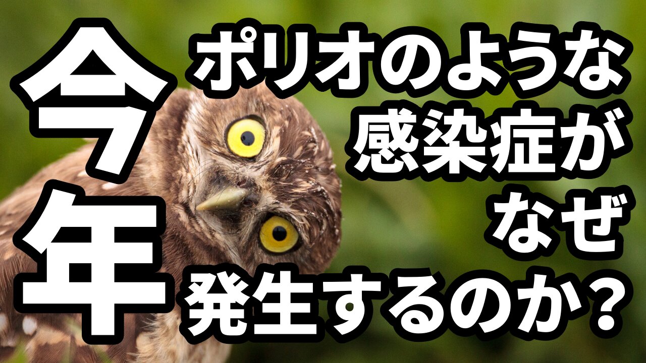 今年、ポリオのような感染症がなぜ発生するのか？ブライアン・アーディス医師 Dr Bryan Ardis 2021/09/02