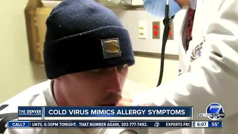 Cold virus mimics allergy symptoms