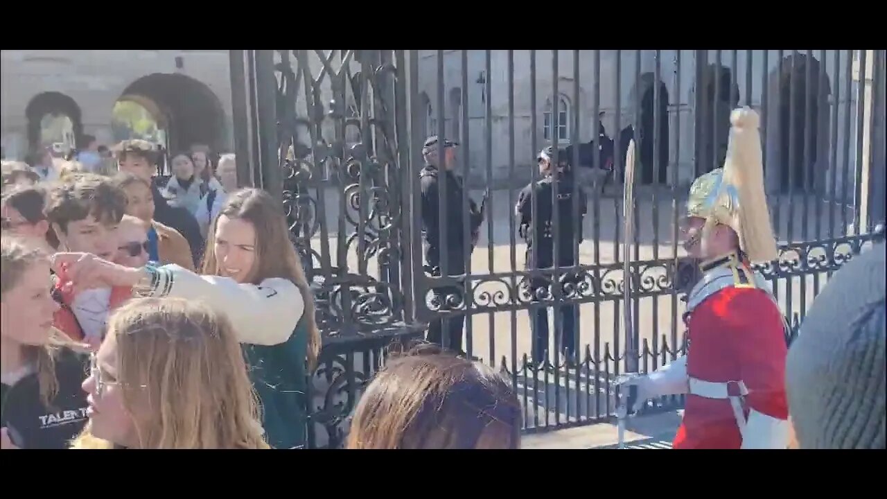 Make way tourist laugh #horseguardsparade