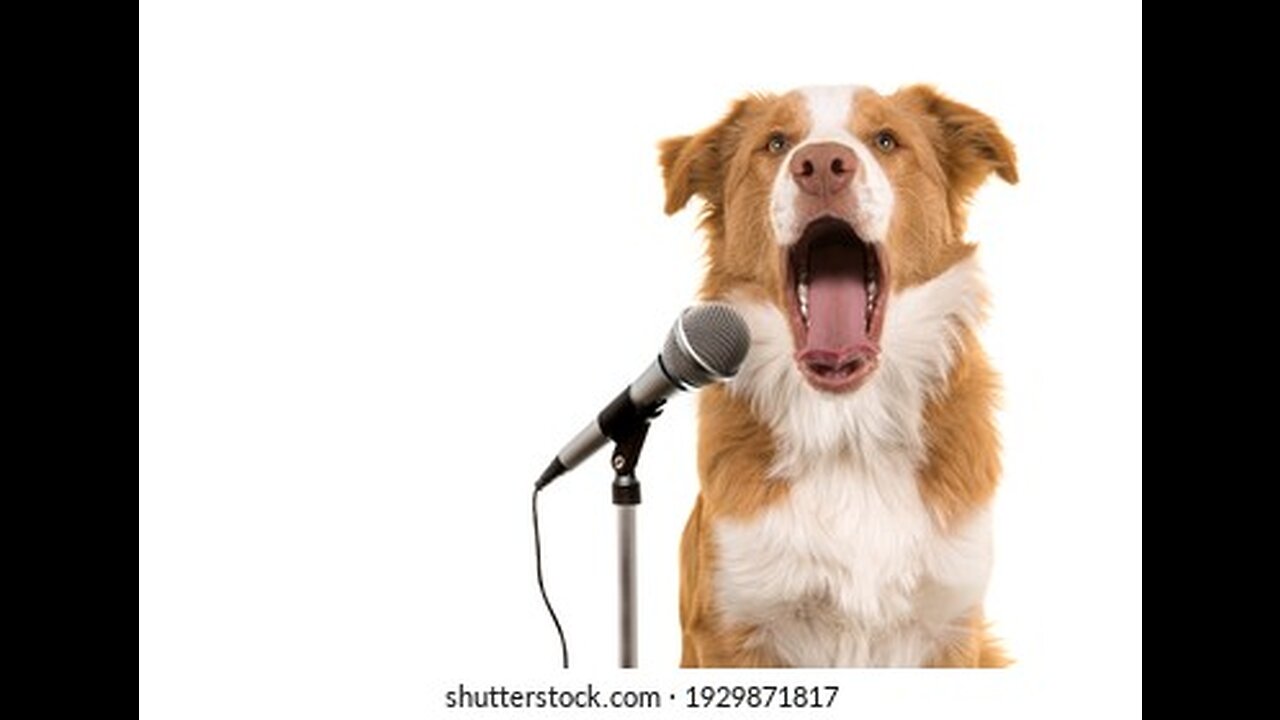 Cute dog hen and cow singing and dancing