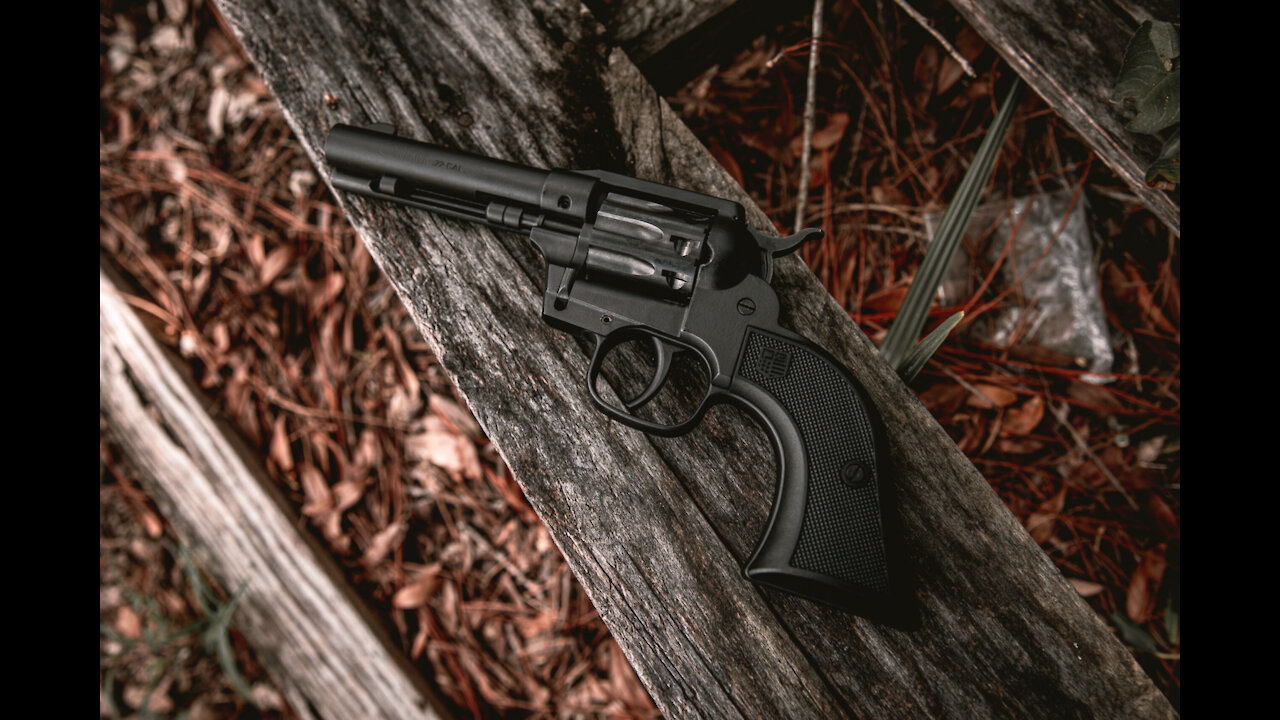 THE NEW Diamondback Sidekick Revolver