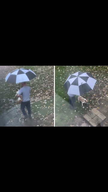 Dad who didn't want a dog takes pup outside with an umbrella