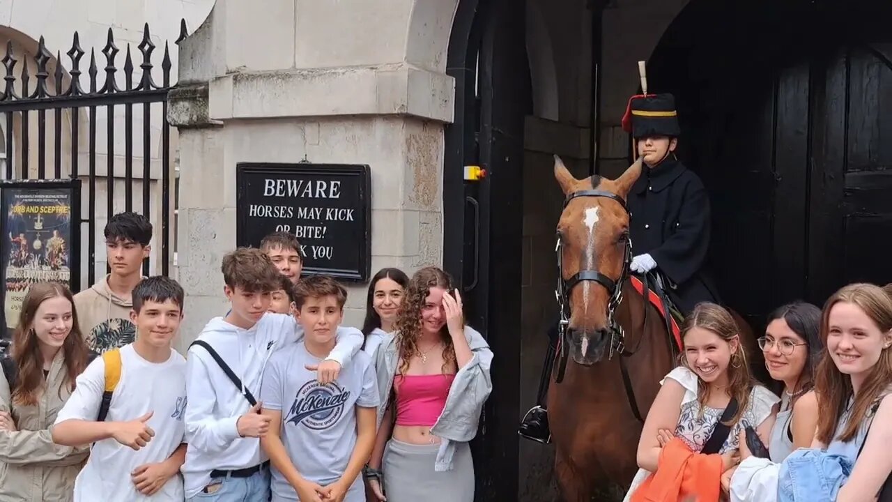 smile the horse won't scare you #horseguardsparade